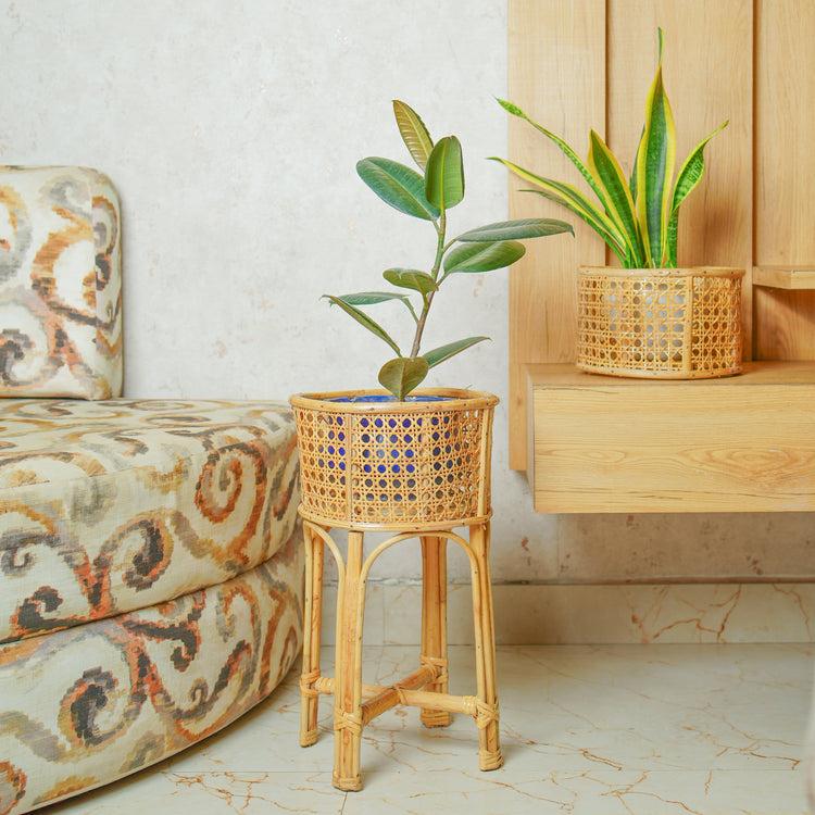 Planters