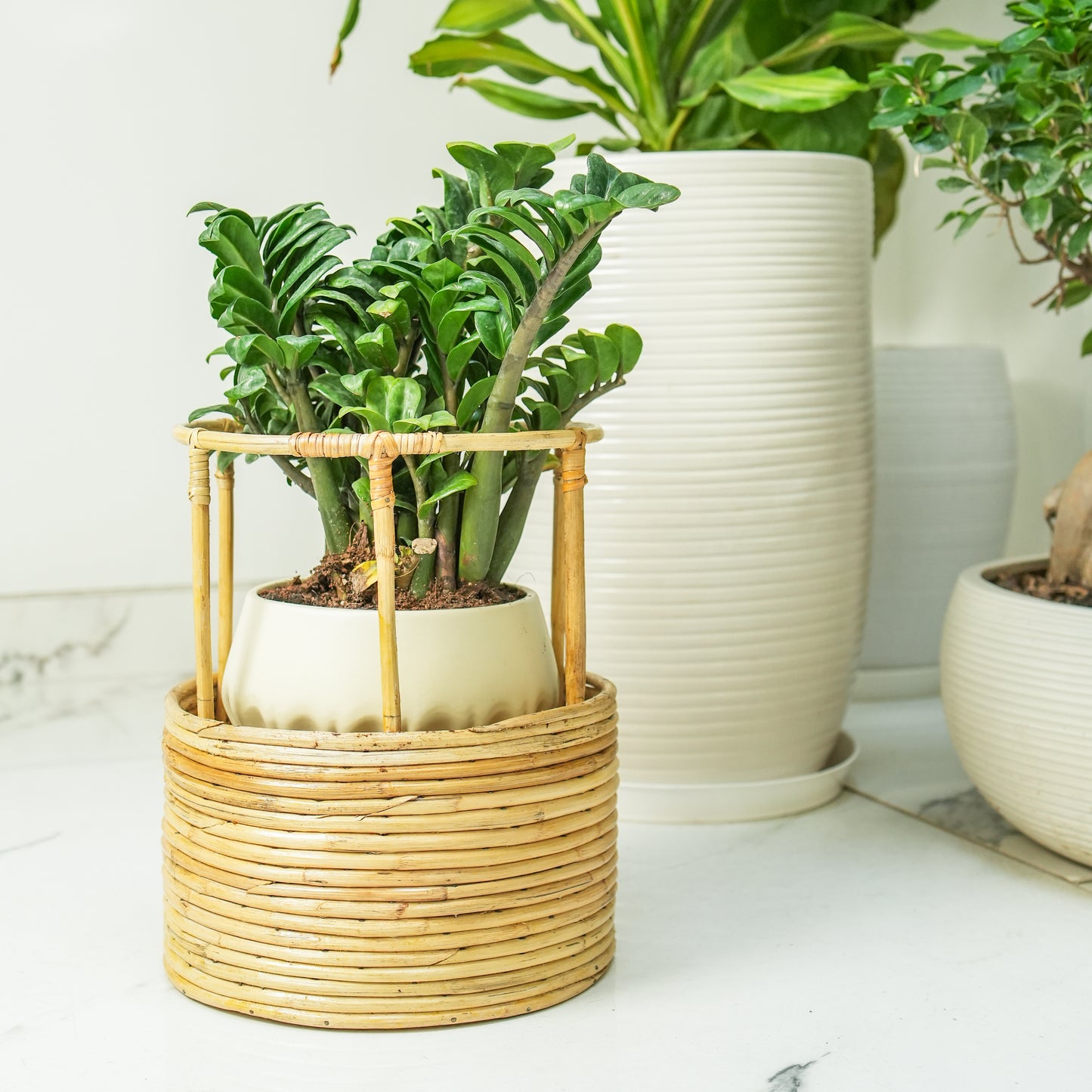 Tikli Half 'n' Half Planter Pot