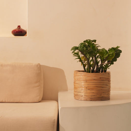 Rattan Coiled Planter Pot