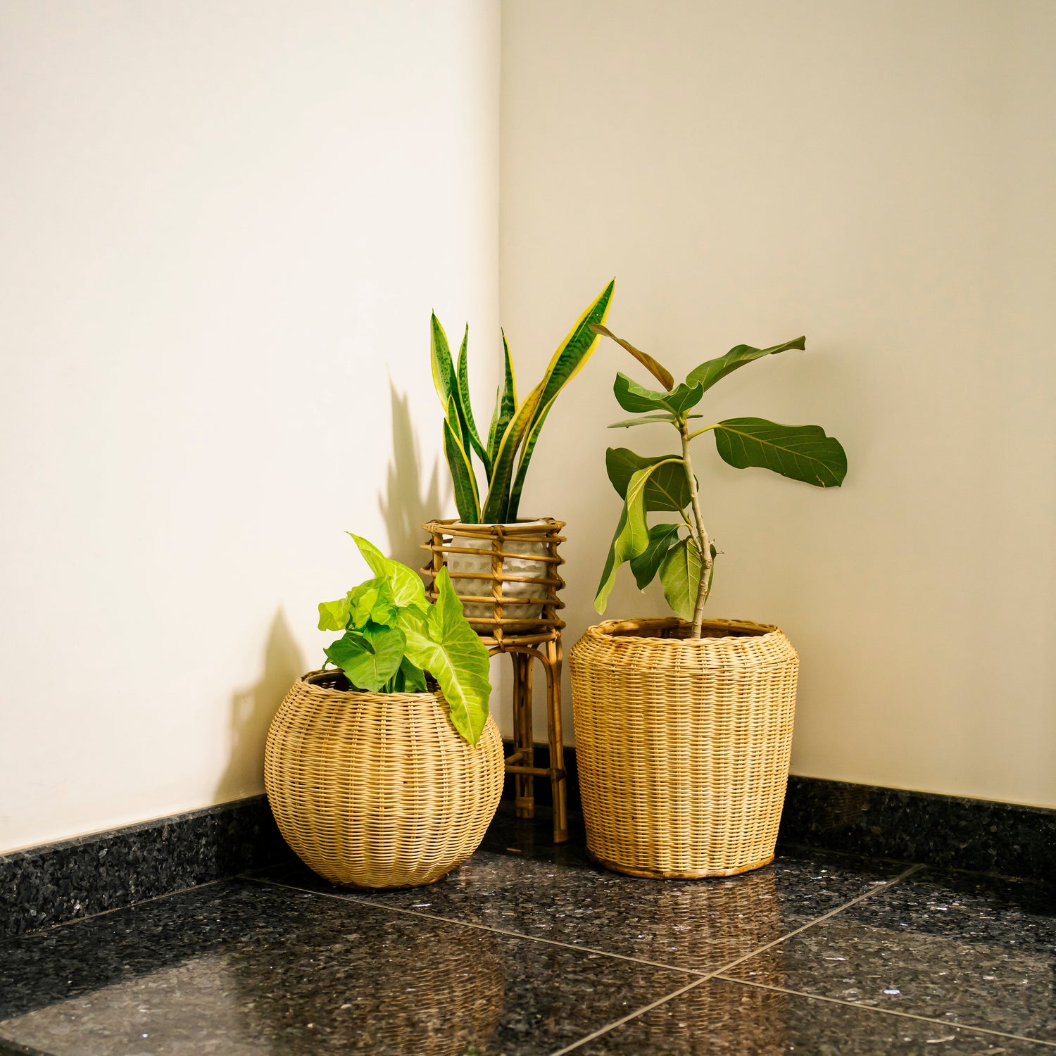 Planters