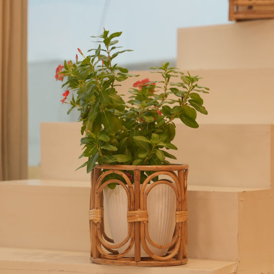 Classic Planter Pot