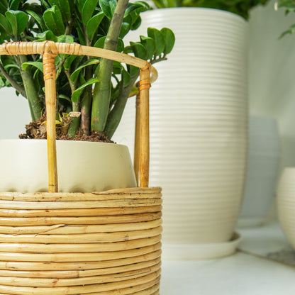 Tikli Half 'n' Half Planter Pot