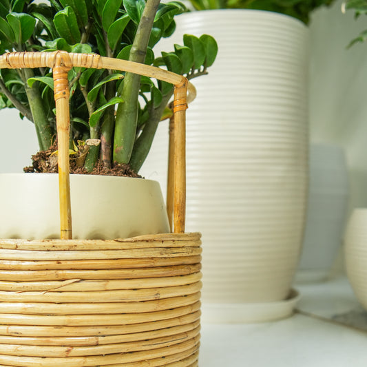 Tikli Half 'n' Half Planter Pot