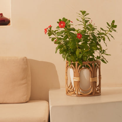 Classic Planter Pot