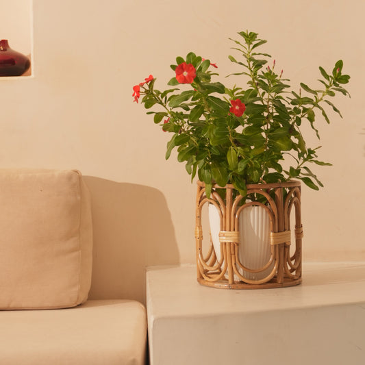 Classic Planter Pot