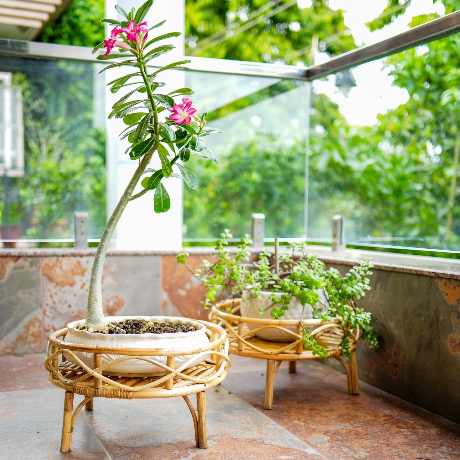 Bonsai Planter Stand