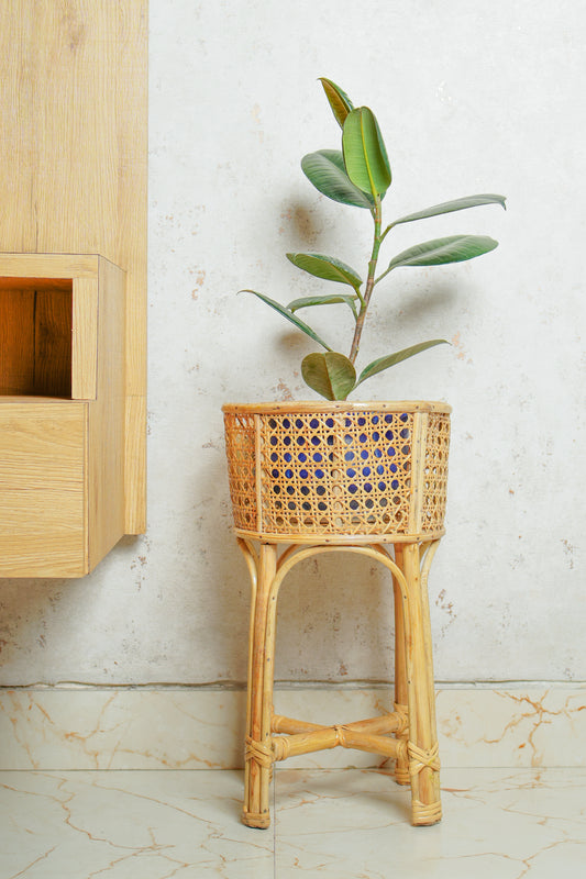 Jaal Planter Stand