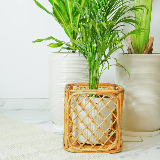 Handmade Rattan Planter Pot
