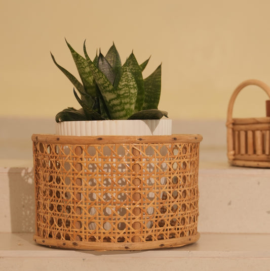 Jaal Planter Pot